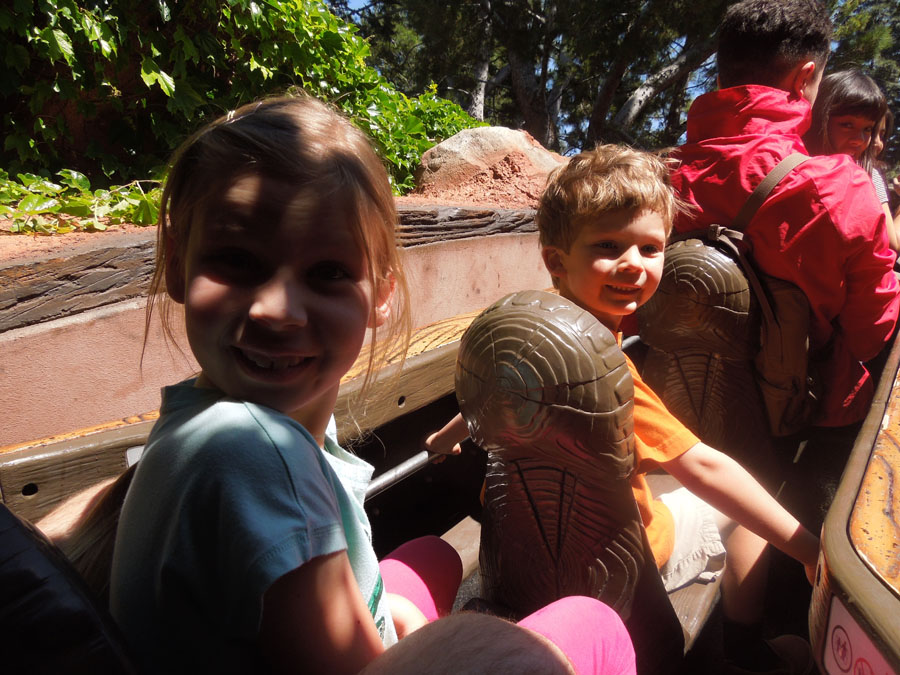 Disneyland Splash Mountain Ride Pictures